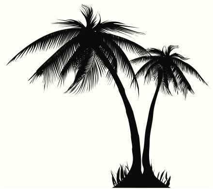 440x390 Palm Tree Vector Free Download Vectores Libres De Derechos Palm