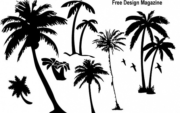 626x396 Palm Tree Vector Free Download Images Free Download