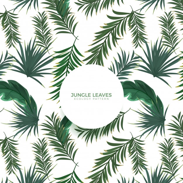 626x626 Palm Tree Vector Vectors, Photos And Psd Files Free Download