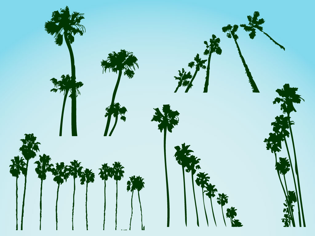 1024x768 Palm Trees Vectors