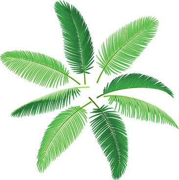 366x368 Palm Free Vector Download (298 Free Vector) For Commercial Use