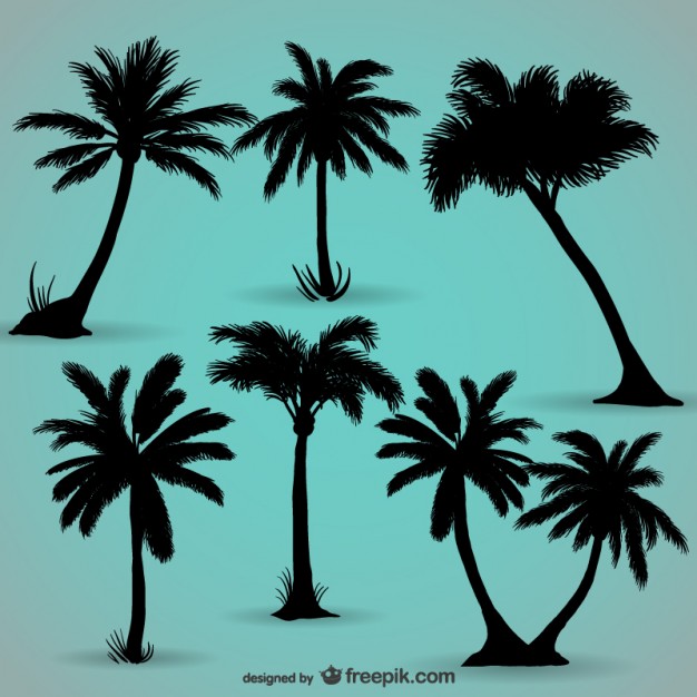 626x626 Palm Trees Black Silhouettes Vector Free Download