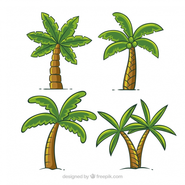 626x626 Set Of Hand Drawn Palm Trees Vector Free Download