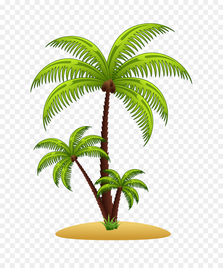 900x1080 Arecaceae Euclidean Vector Tree Illustration
