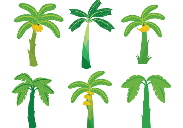 632x443 Banana Tree Vector Free Vector Download 339357 Cannypic