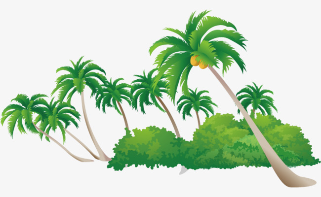 650x400 Vector Palmera Decorativa Planta Coco Leaf Png Y Vector Para