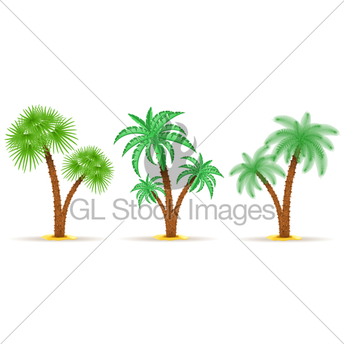 500x500 Palm Tree Vector Illustration Gl Stock Images
