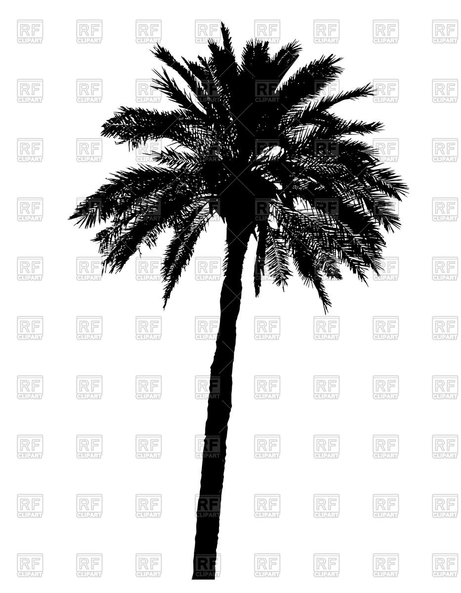 933x1200 Palm Tree Black Silhouette Vector Image Vector Artwork Of Plants
