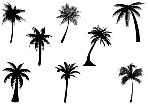 500x350 Collection Of Little Palm Tree Drawing High Quality, Free
