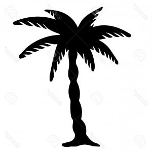 300x300 Photostock Vector Coconut Palm Tree Black Silhouette Isolated On