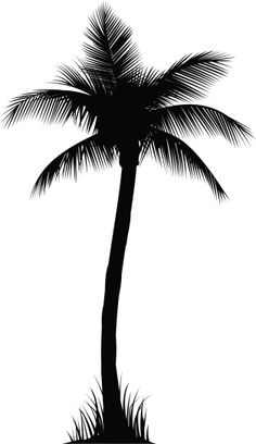 236x408 Realistic Palm Tree Silhouette