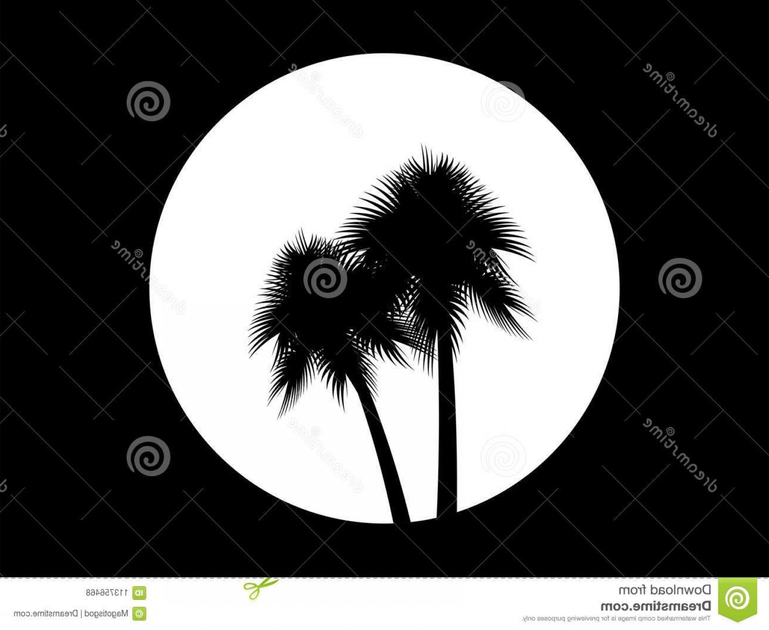 1560x1278 Two Palm Trees Background Full Moon Black White Logo Tropical
