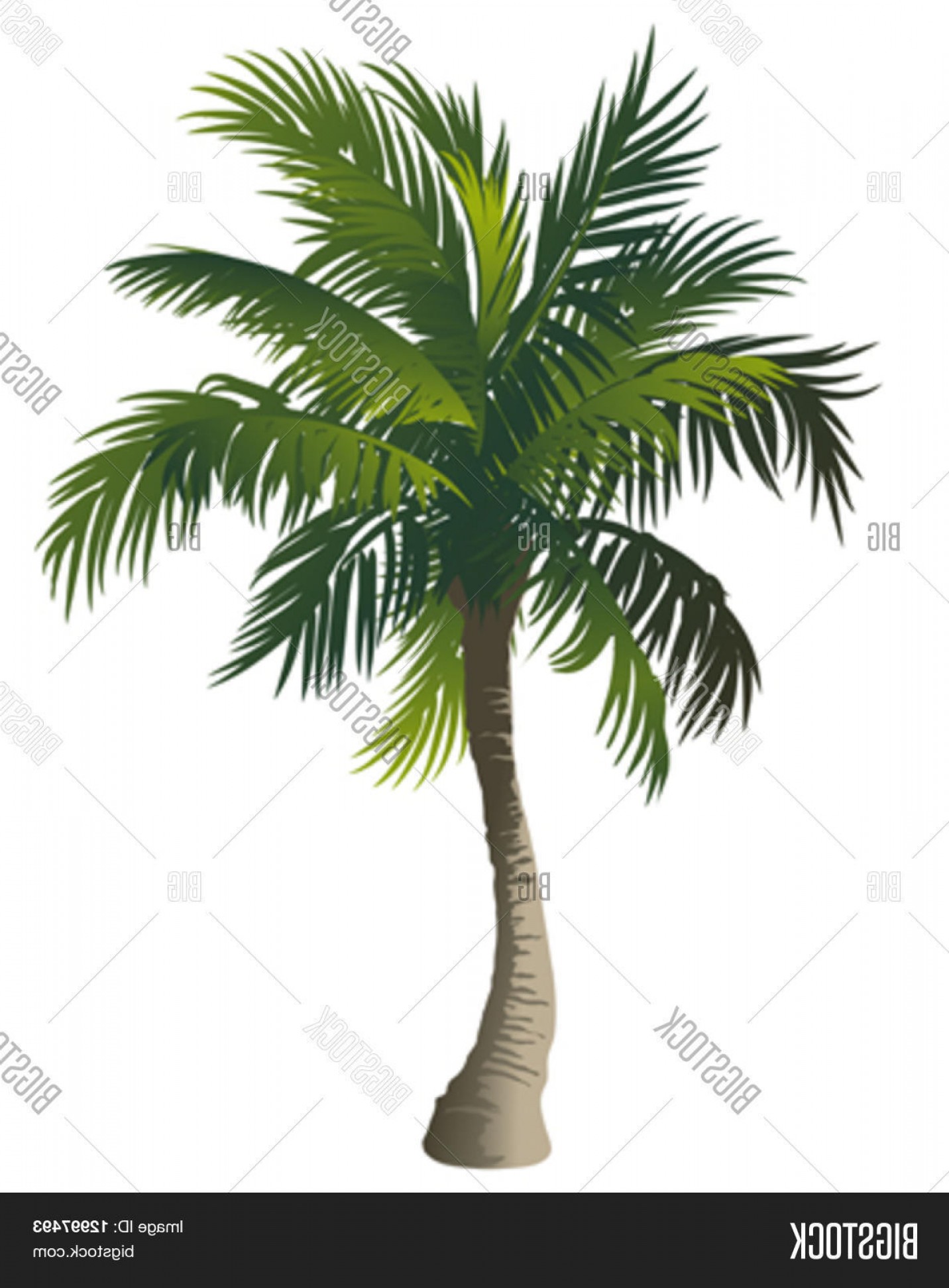 1432x1944 Date Tree Vector Lazttweet