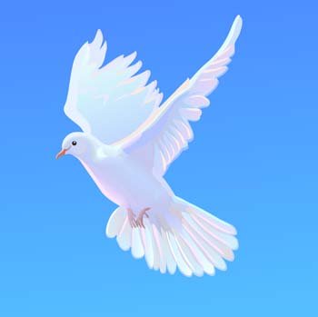 350x349 Clip Art Y Vectoriales Paloma Vector 4 Gratuitos