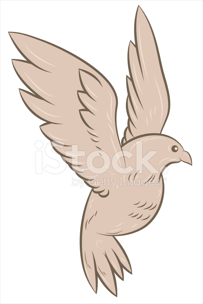 684x1024 Paloma De Vector Stock Vector