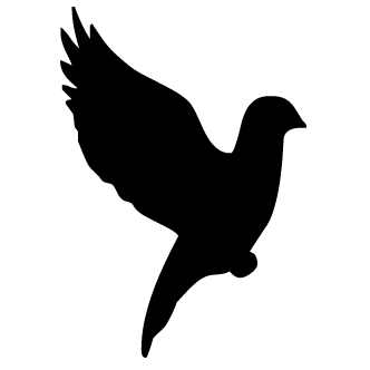 332x332 Palomas Vector Png 1 Png Image
