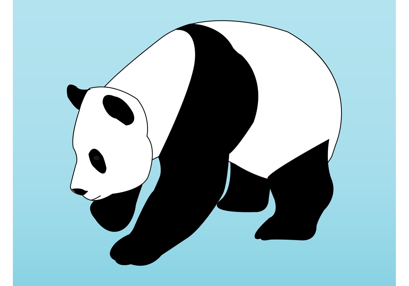 1400x980 Panda Bear Vector