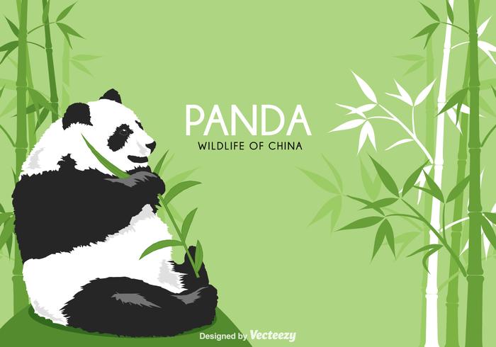 700x490 Panda Bear Vector