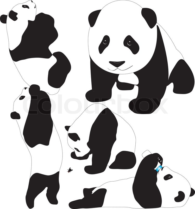 749x800 Panda Babies Vector Silhouettes. Layered. Fully Editable. Stock