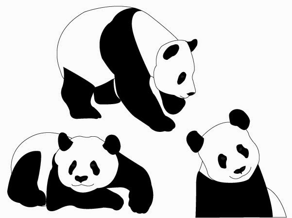 601x448 Vector Graphics Collection Three Panda Bear Vector