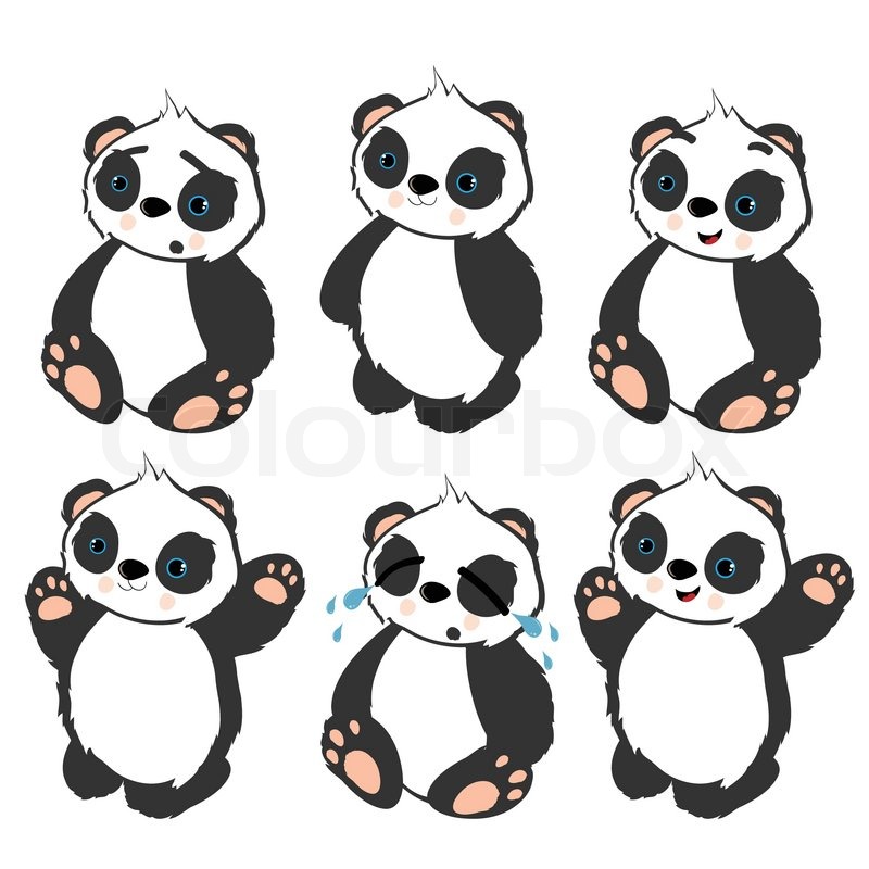800x800 Collection Of Six Different Panda Bears, Vector Illustration