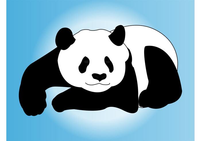 700x490 Panda Vector