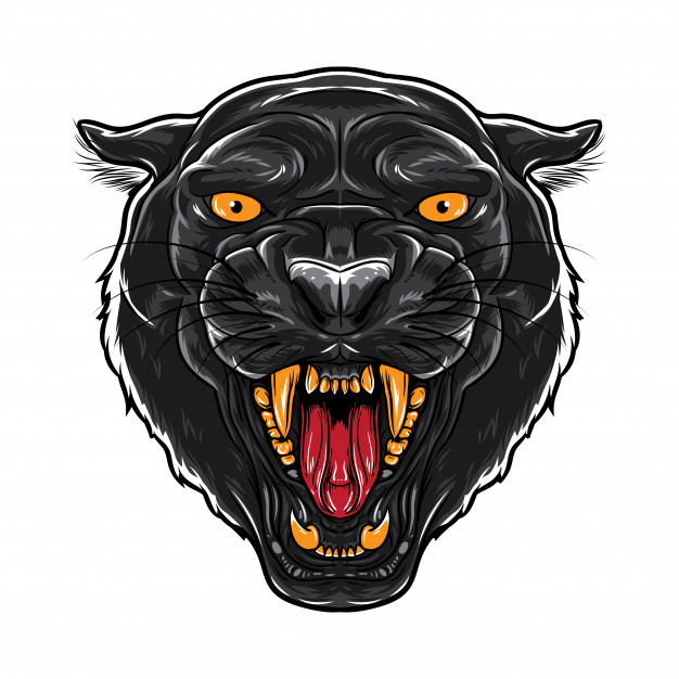 626x626 Angry Black Panther Face Vector Premium Download
