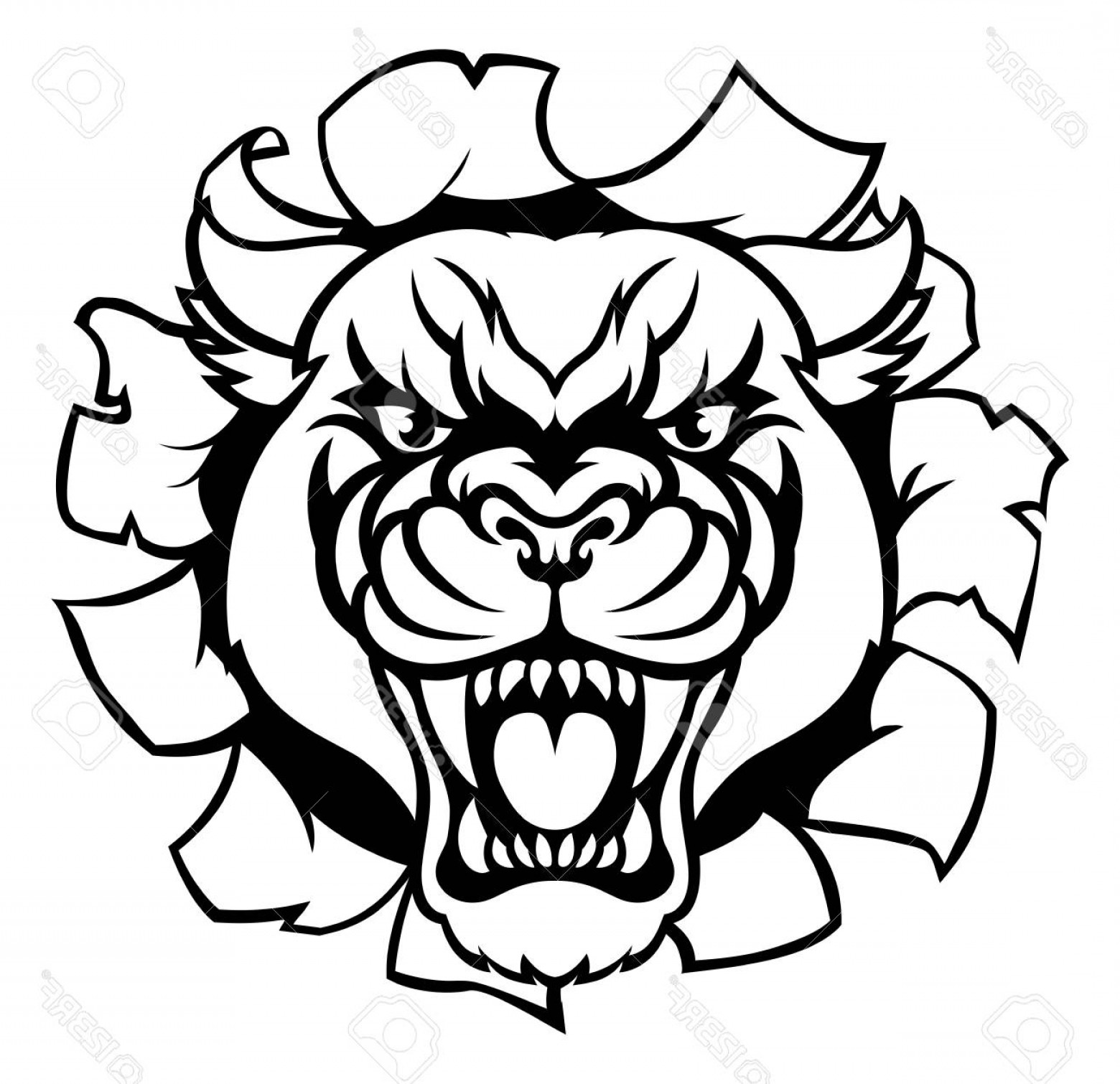 1560x1510 Black Panther Drawing Vector Lazttweet