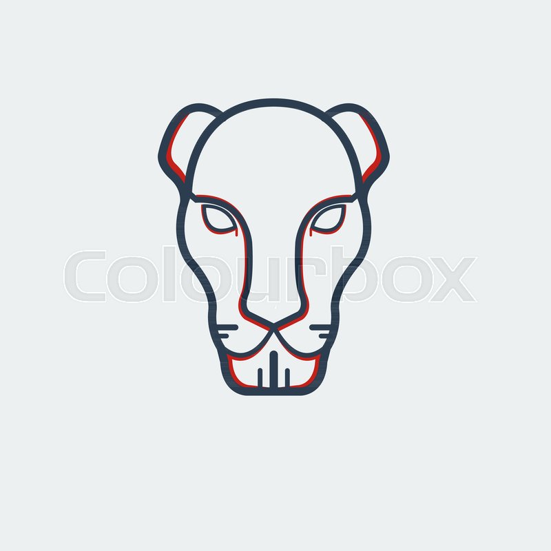 800x800 Lion Or Panther Head. Vector, Illustration Stock Vector Colourbox