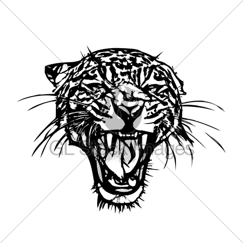 500x500 Panther Head Graphic Gl Stock Images