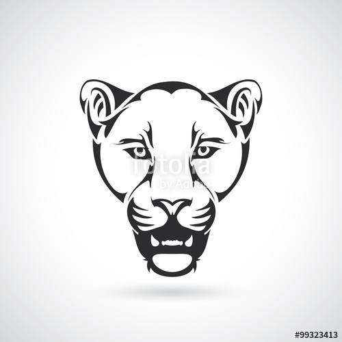 500x500 Panther Head Stock Image And Royalty Free Vector Files On Fotolia