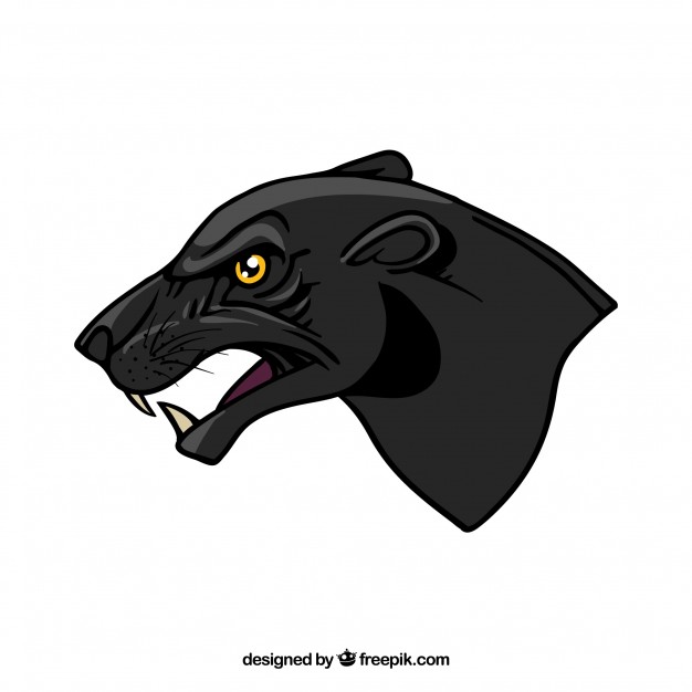 626x626 Side Panther Head Vector Free Download