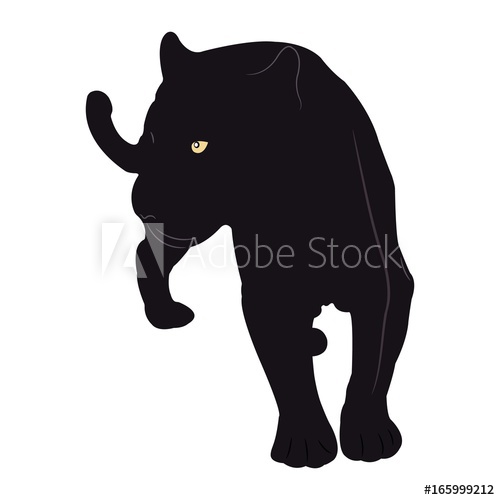 500x500 Black Panther. Vector Illustration.