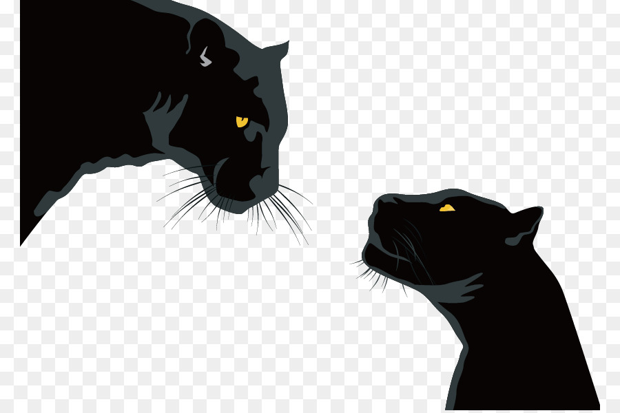 900x600 Black Panther Black Cat Leopard Cougar Jaguar