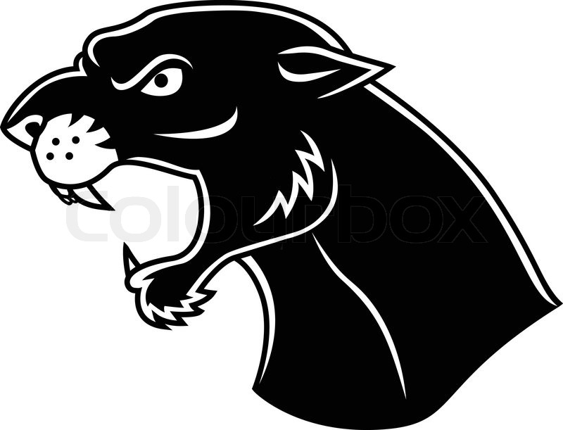 800x611 Panther Head Tattoo Stock Vector Colourbox