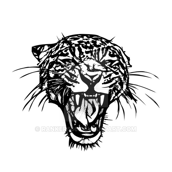 600x600 Panther Vector Illustration By Ranker666
