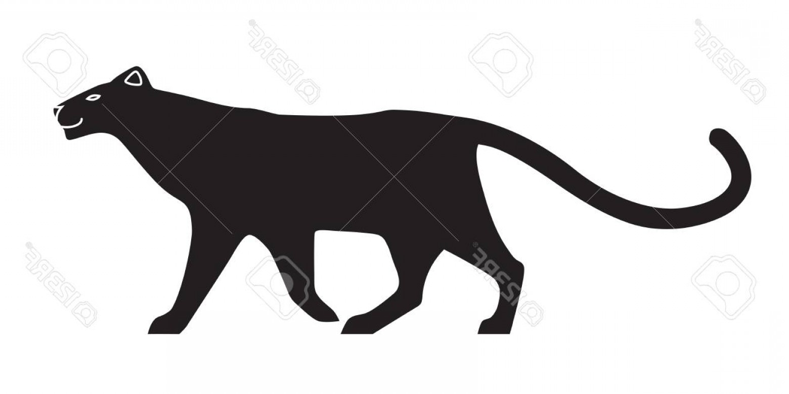 1560x780 Photostock Vector Black Stylized Silhouette Of Panther Vector