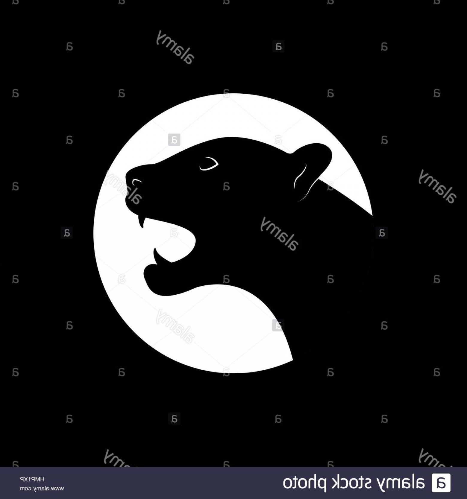 1560x1668 Stock Photo Silhouette Of An Black Panther Vector Illustration