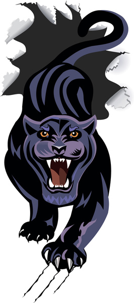 266x600 Fierce Panther Vector Free Vector In Encapsulated Postscript Eps