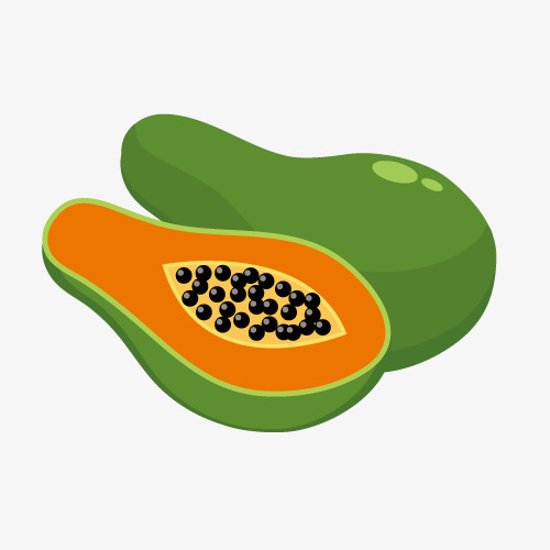 Papaya Vector at GetDrawings | Free download