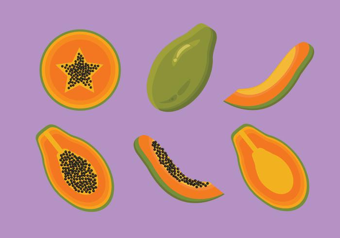 700x490 Papaya Vector
