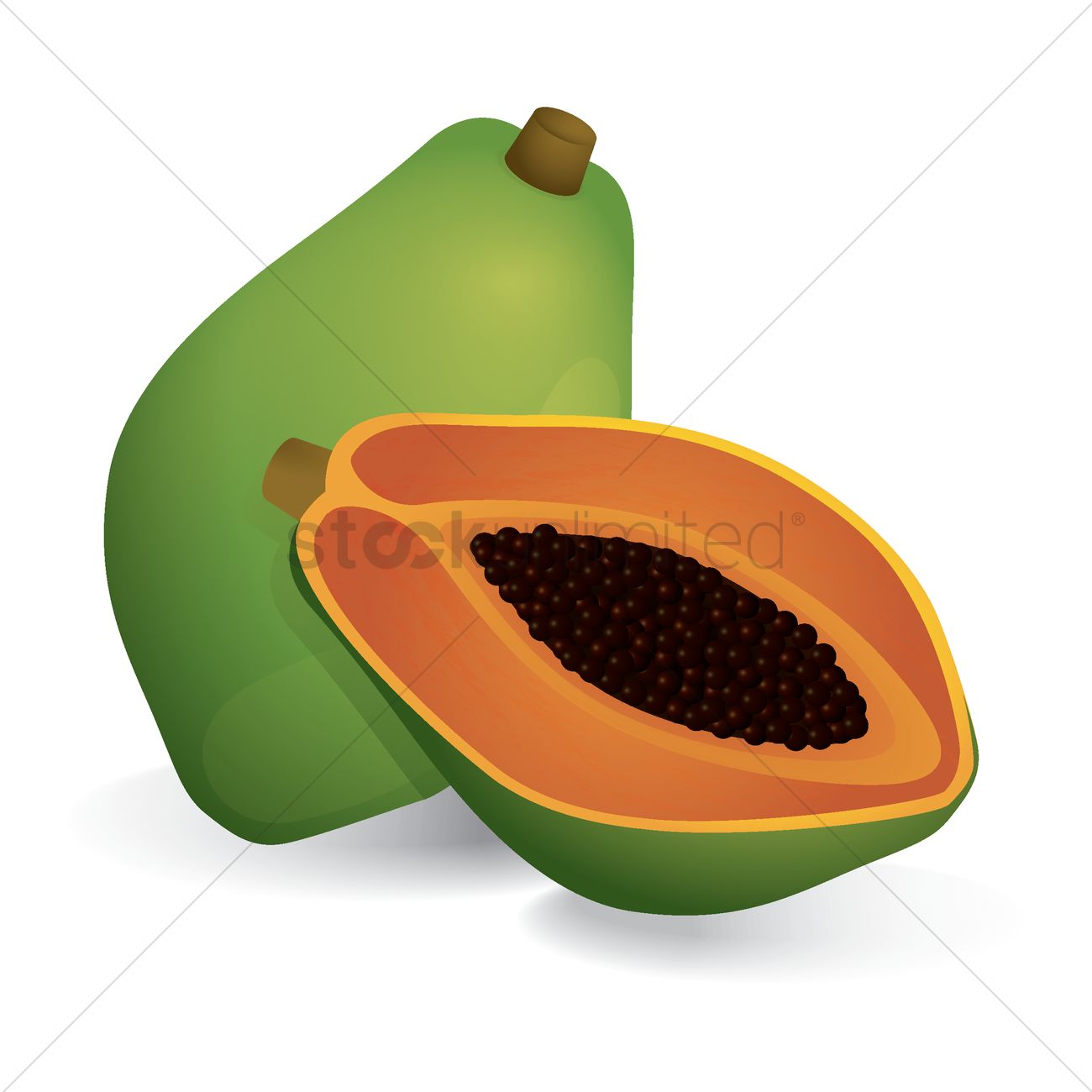 1300x1300 Papaya Vector Image