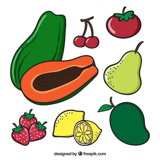626x626 Papaya Vectors, Photos And Psd Files Free Download