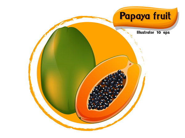 600x450 Papaya Fruit Illustration Vector Free Download