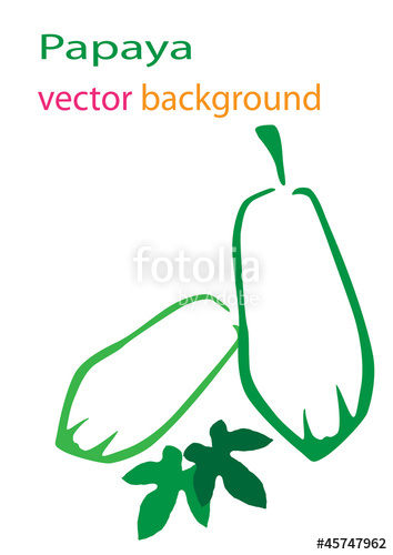 354x500 Papaya Vector Background Stock Image And Royalty Free Vector