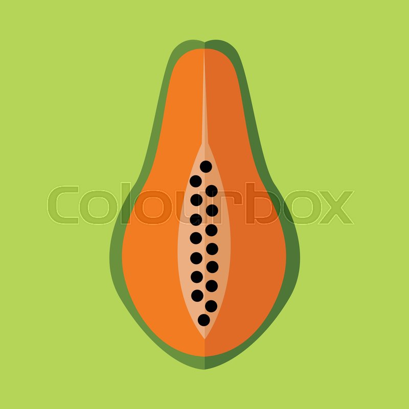 800x800 Simple Flat Open Papaya Vector Illustration Graphic Design Stock