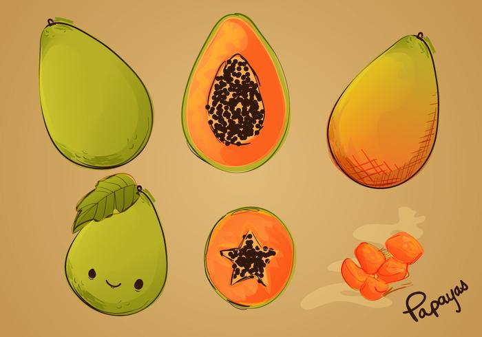 700x490 Sketched Papaya Vector Set