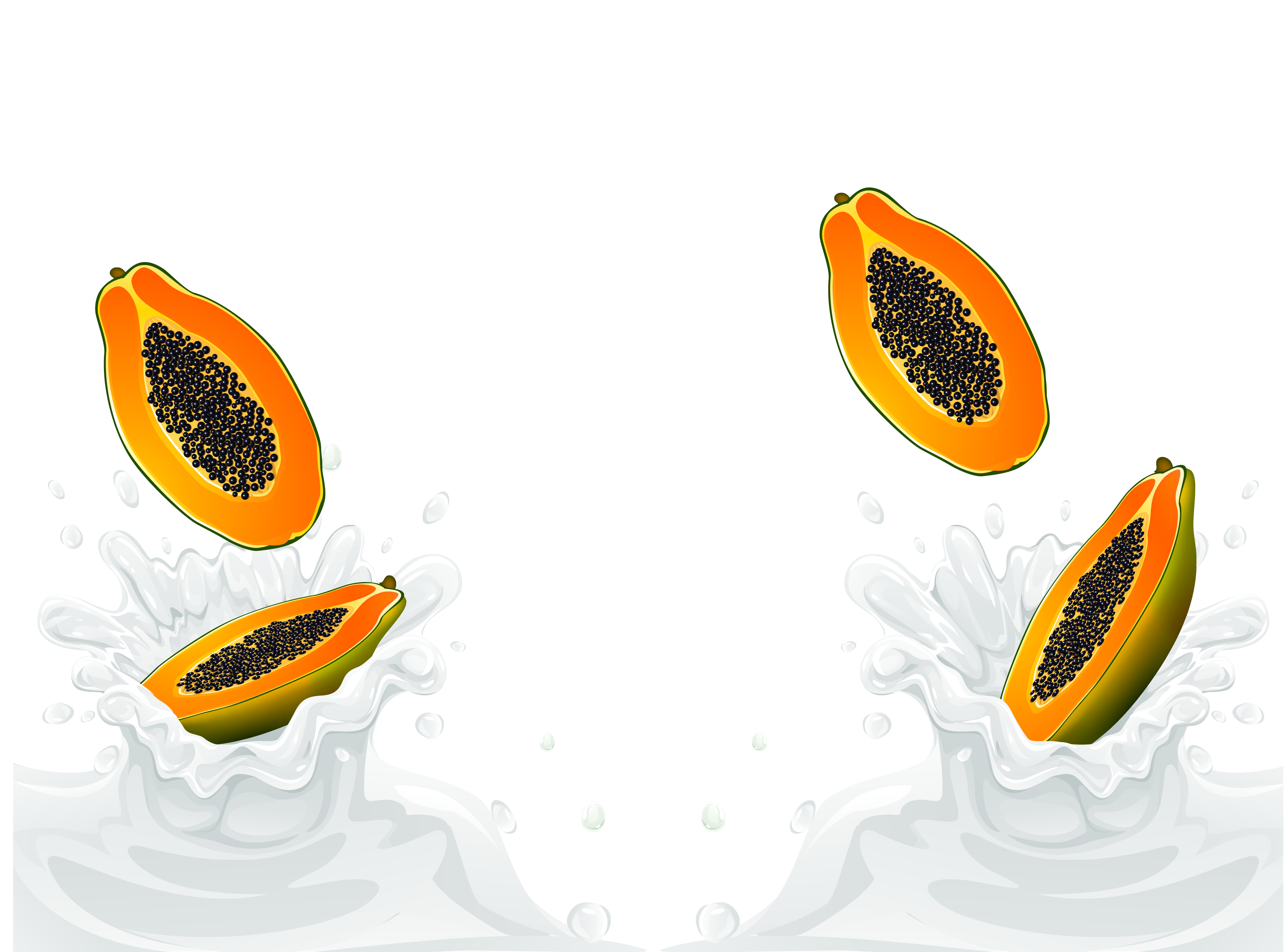 3333x2463 U6728u74dcu725bu4e73 Papaya