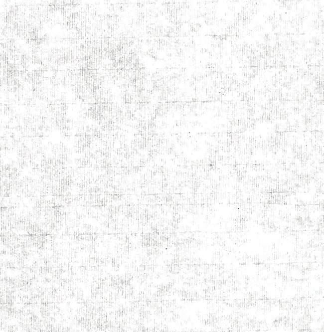 650x666 Vector Paper Texture Background, Vector, White, Graffiti