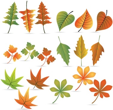 378x368 Parasol Vector Free Vector Download (17 Free Vector) For